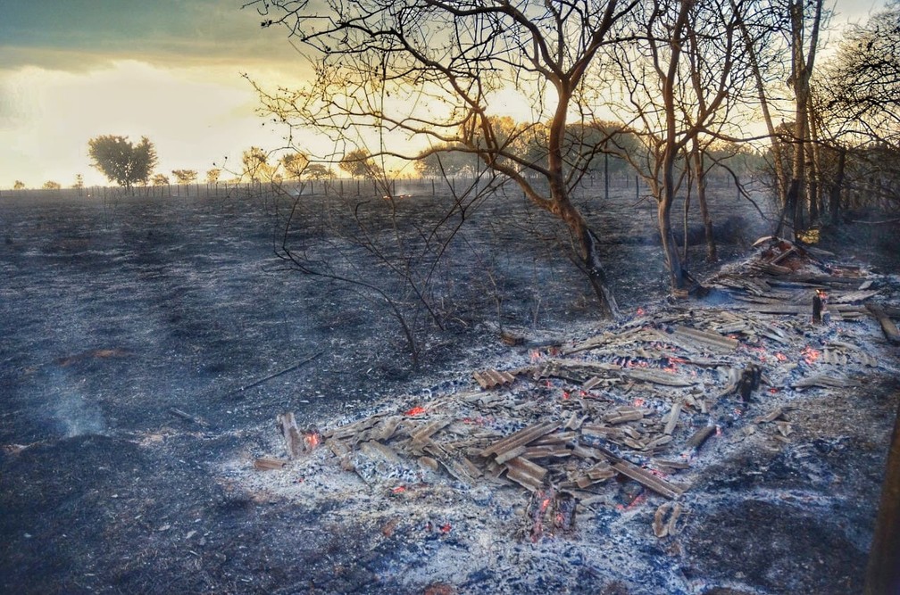 Premiação para gincana ecológica é aprovada pela Câmara 