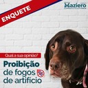 Rafael Maziero consulta população sobre proposta legislativa de proibição de fogos de artifício